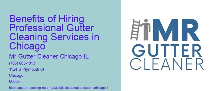 Benefits of Hiring Professional Gutter Cleaning Services in Chicago 
