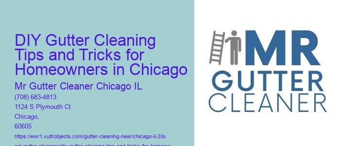DIY Gutter Cleaning Tips and Tricks for Homeowners in Chicago 