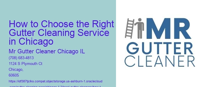 How to Choose the Right Gutter Cleaning Service in Chicago 