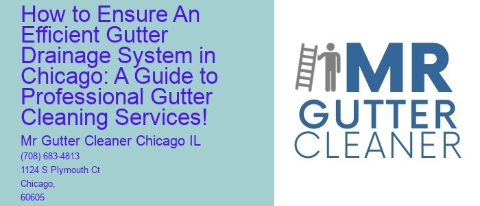 How to Ensure An Efficient Gutter Drainage System in Chicago: A Guide to Professional Gutter Cleaning Services!