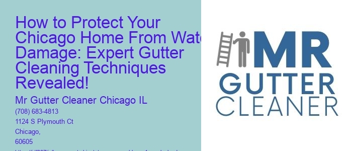 How to Protect Your Chicago Home From Water Damage: Expert Gutter Cleaning Techniques Revealed!