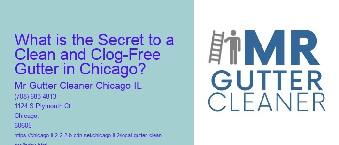 What is the Secret to a Clean and Clog-Free Gutter in Chicago?