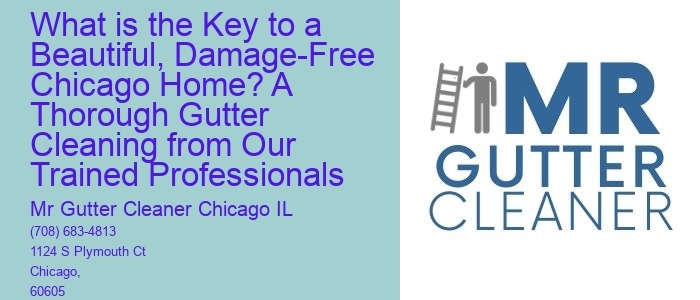 What is the Key to a Beautiful, Damage-Free Chicago Home? A Thorough Gutter Cleaning from Our Trained Professionals